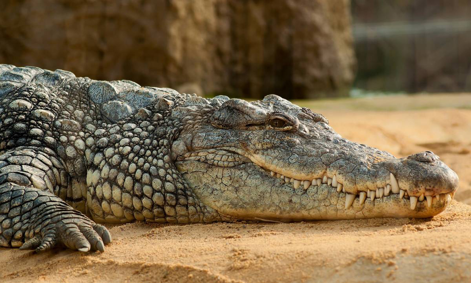 Phuket Zoo